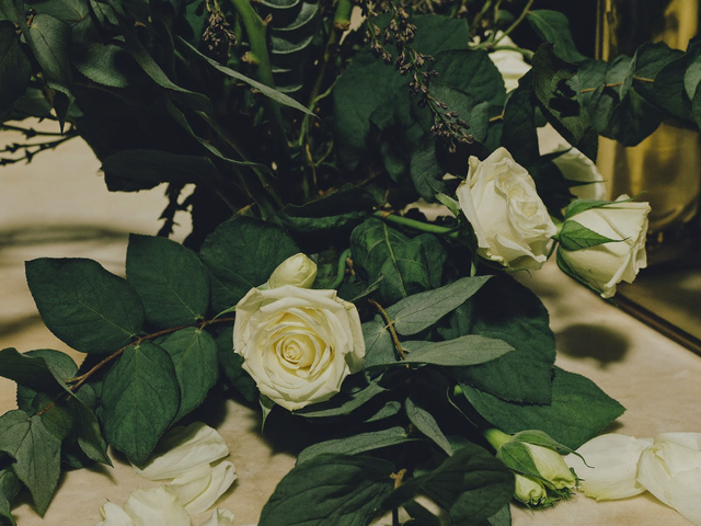 Nahaufnahme einer cremefarbenen Gartenrose neben dunklem Eukalyptus auf warmem Marmor